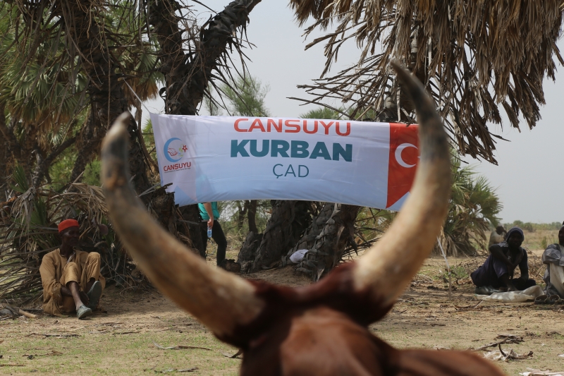 CANSUYU’NDAN 2026 KURBAN SEFERBERLİĞ