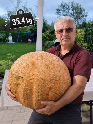 ALMANYA’DA 35,4 KİLOLUK DEV KABAK YETİŞTİRDİ