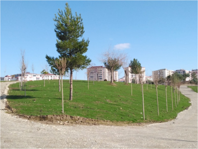 97 BİN 250 METREKARELİK ALANI ÇİMLENDİRDİK