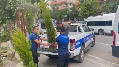 Ağaç kesenlere hibe cezası