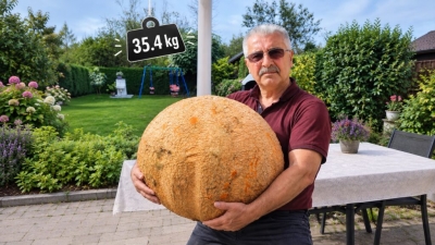 ALMANYA’DA 35,4 KİLOLUK DEV KABAK YETİŞTİRDİ