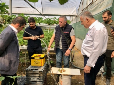 AYDIN'DAN TOPRAKSIZ ÇİLEK SERASINA ZİYARET