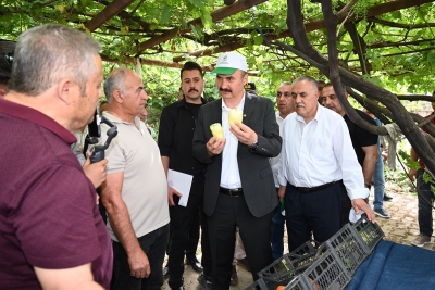 “Balpınar'da Sera kentler kuracağız”