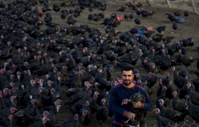Batman'da hindi satışları başladı… 