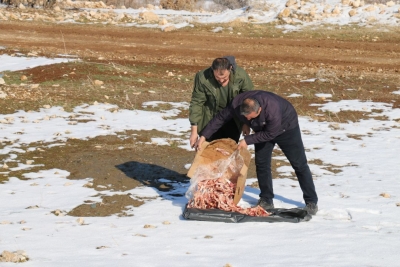 Belediye, hayvanları unutmuyor