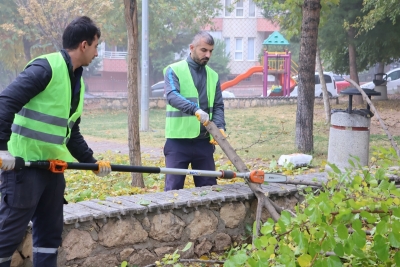 Budama Mevsimi Başladı