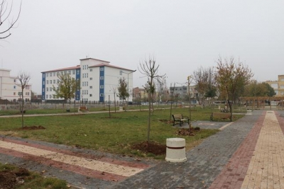 CEVİZLİ PARKINA 250 ADET AĞAÇ DİKİLDİ