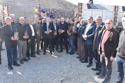 Çiftçilere 28 bin fıstık fidanı dağıtıldı