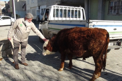Danasını Gazze’ye Bağışladı