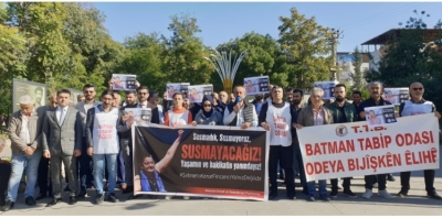 Demokrasi Platformundan eleştiri