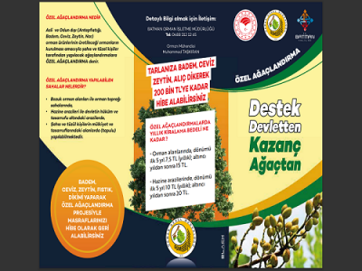 Destek devletten, kazanç ağaçtan