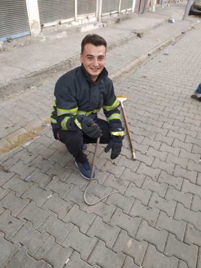 Eve giren yılan doğaya bırakıldı