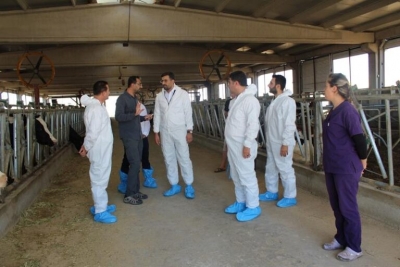 Hayvancılık destekleme modeli tanıtıldı