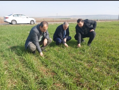 HUBUBAT VE BAKLAGİL ÇIKIŞLARI İYİ