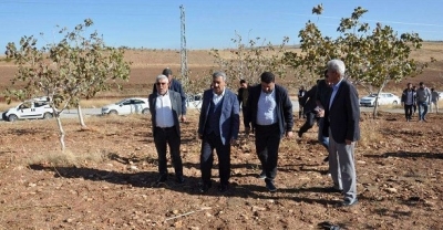 HÜDA PAR Batman İl Başkanı Şahin: Fıstık ağaçlarının bulunduğu yerde TOKİ yapılmamalı