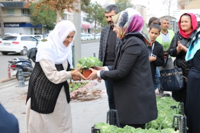KIŞ MEVSİMİ ÇİÇEK EKİMİ STARTI VERİLDİ