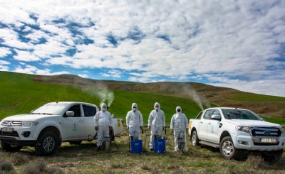 Larva Mücadelesi Başlatıldı…