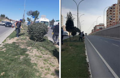 MEVSİMSEL BUDAMA ÇALIŞMASI BAŞLADI