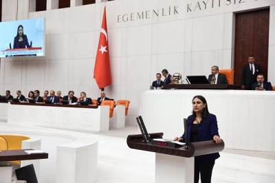 MİLLETVEKİLİ ODUNCU, KADASTRO SORUNUNU MECLİSE TAŞIDI