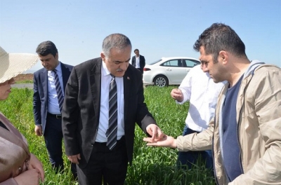 “SÜNE ÇALIŞMALARIMIZ DEVAM EDİYOR”
