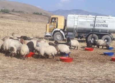 SÜRÜNÜN İMDADINA BELEDİYE YETİŞTİ