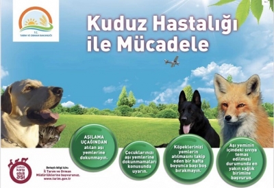 VALİLİKTEN ‘KUDUZ’ AÇIKLAMASI