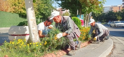 YABANİ OT TEMİZLEME ÇALIŞMALARI BAŞLADI
