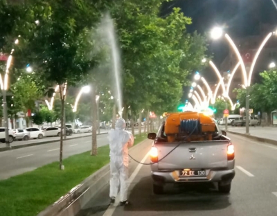 Yeşil alanlar ilaçlanıyor