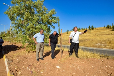 Yeşil kuşak projesiyle 36 bin fidan dikildi